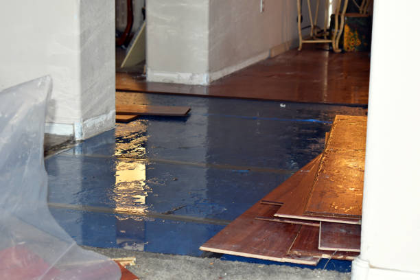 Professional Basement Flooding technician working in Slovan, PA